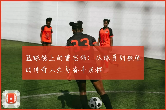 篮球场上的曾志伟：从球员到教练的传奇人生与奋斗历程