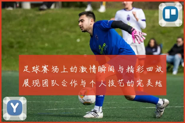 足球赛场上的激情瞬间与精彩回放展现团队合作与个人技艺的完美结合
