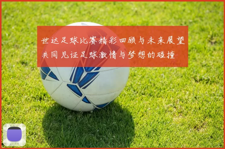 世达足球比赛精彩回顾与未来展望共同见证足球激情与梦想的碰撞