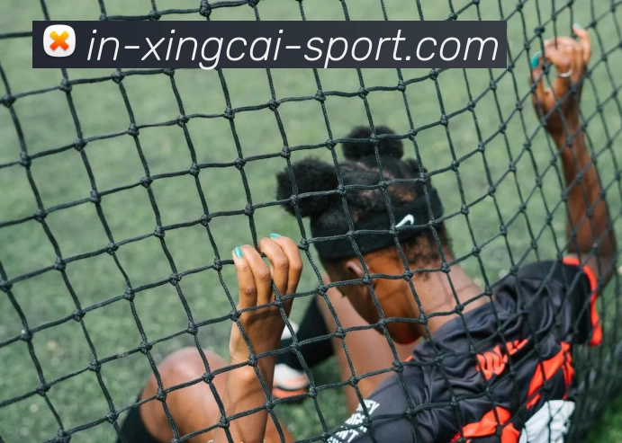 杏彩体育平台生态图