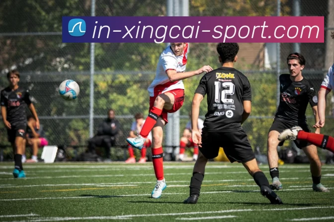 杏彩体育APP 封面图